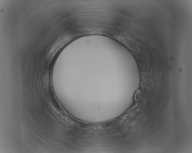 X0000073950194200609181409