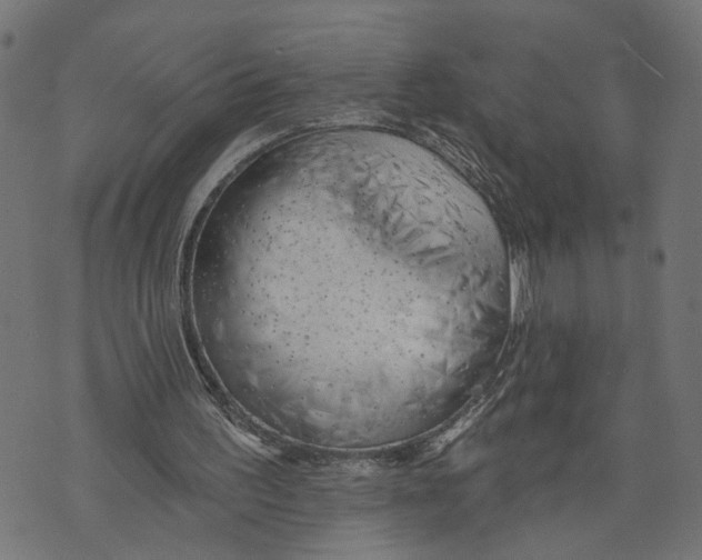 X0000073950195200609181409