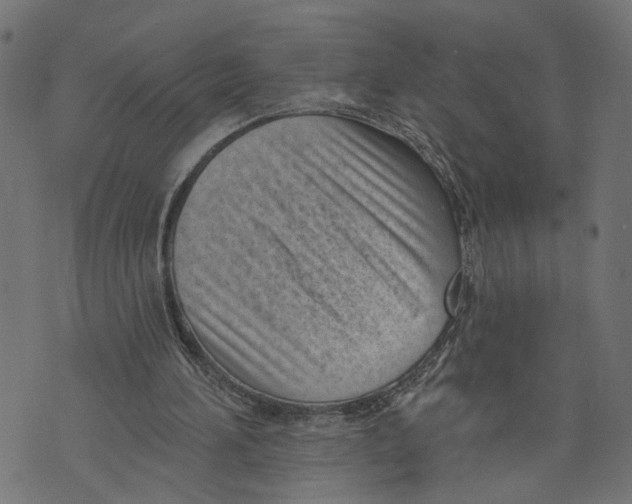 X0000073950196200609181409