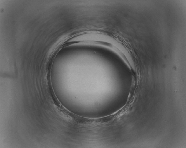 X0000073950197200609181409