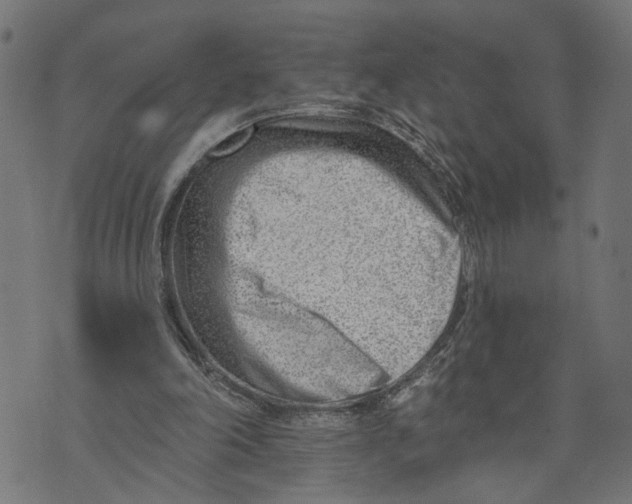 X0000073950198200609181409