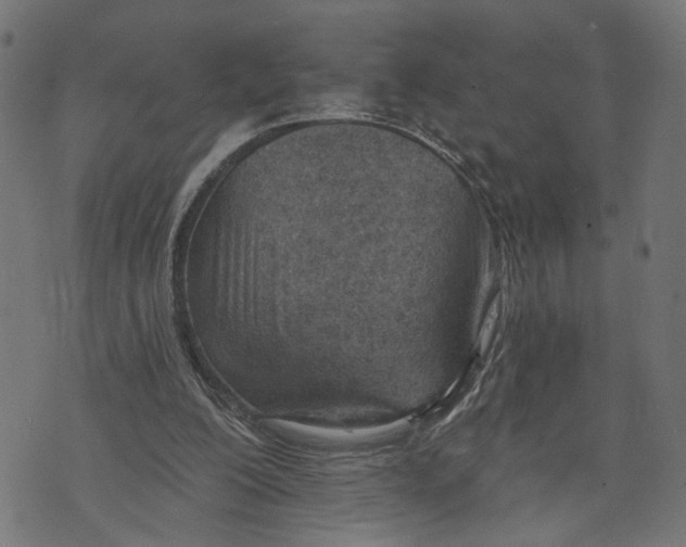 X0000073950200200609181409