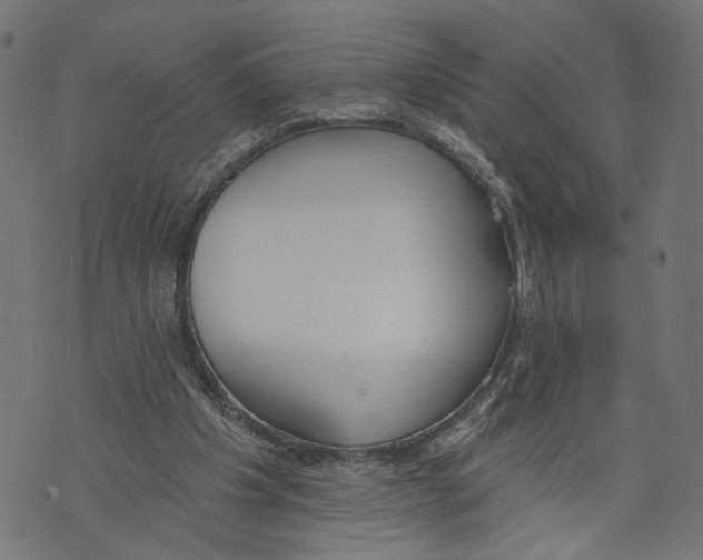 X0000073950201200609181409