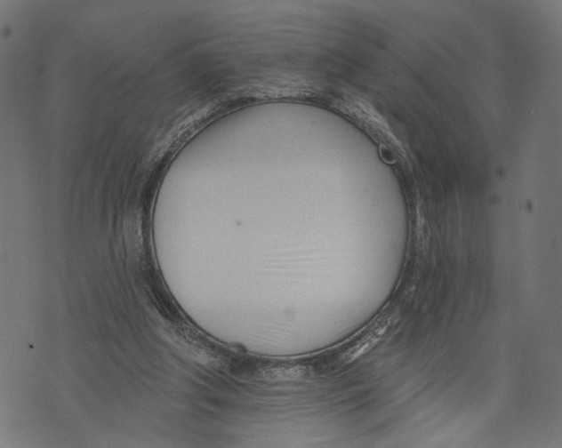 X0000073950202200609181409