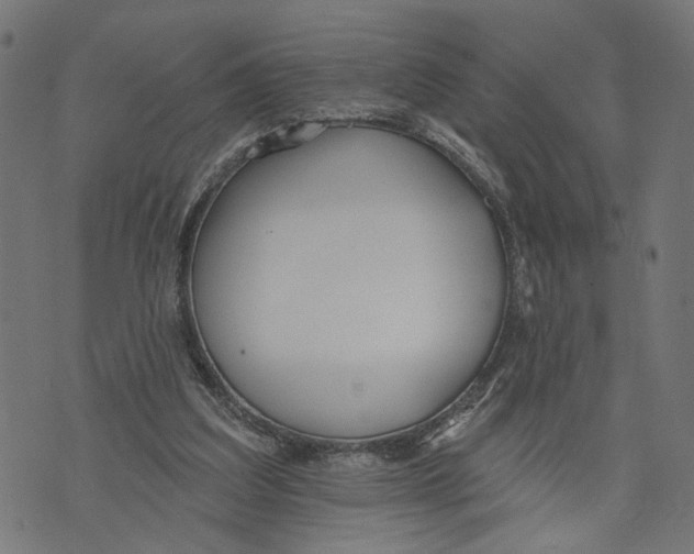 X0000073950203200609181409