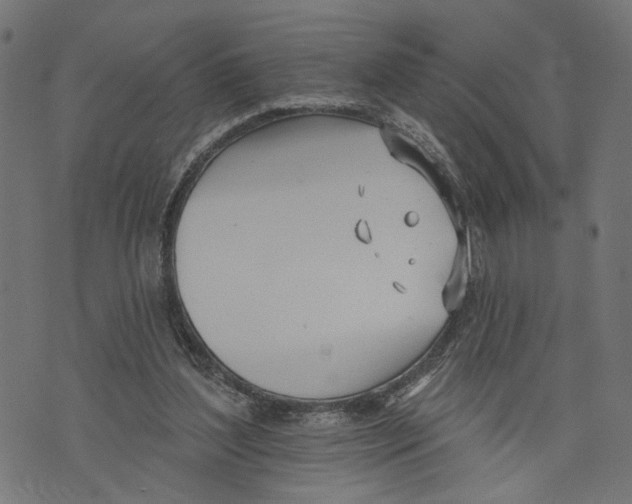 X0000073950204200609181409