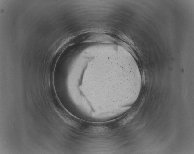 X0000073950205200609181409