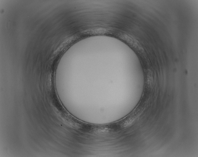 X0000073950206200609181409