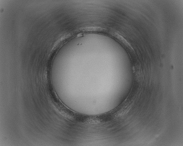 X0000073950207200609181409