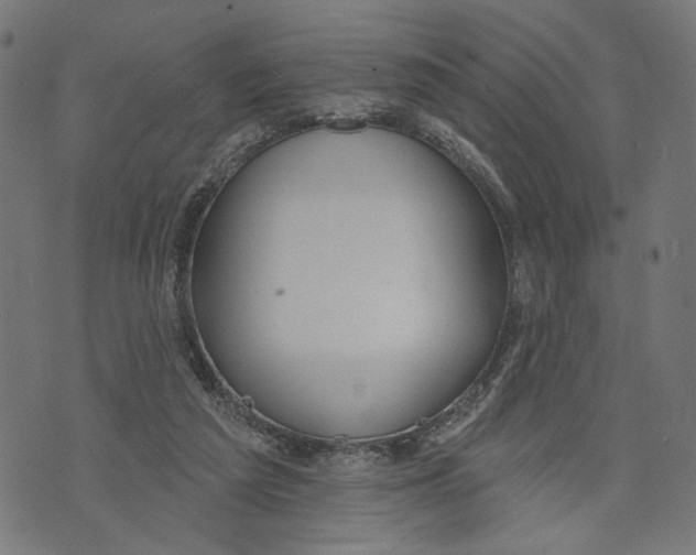 X0000073950209200609181409