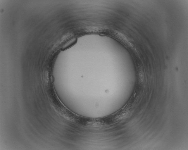 X0000073950211200609181409