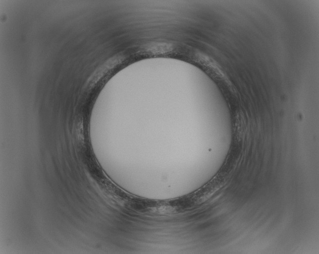 X0000073950212200609181409