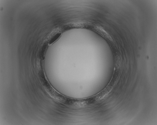 X0000073950213200609181409