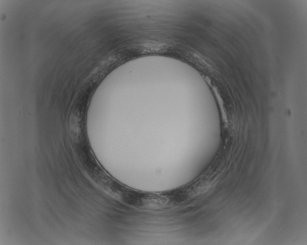 X0000073950215200609181409