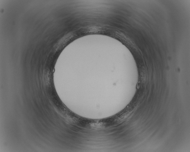 X0000073950216200609181409