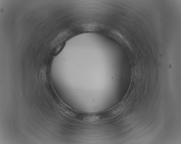 X0000073950217200609181409