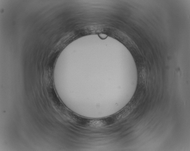 X0000073950218200609181409