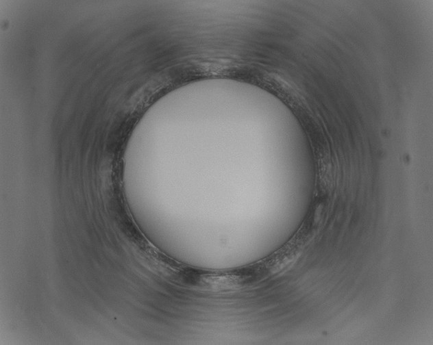 X0000073950221200609181409