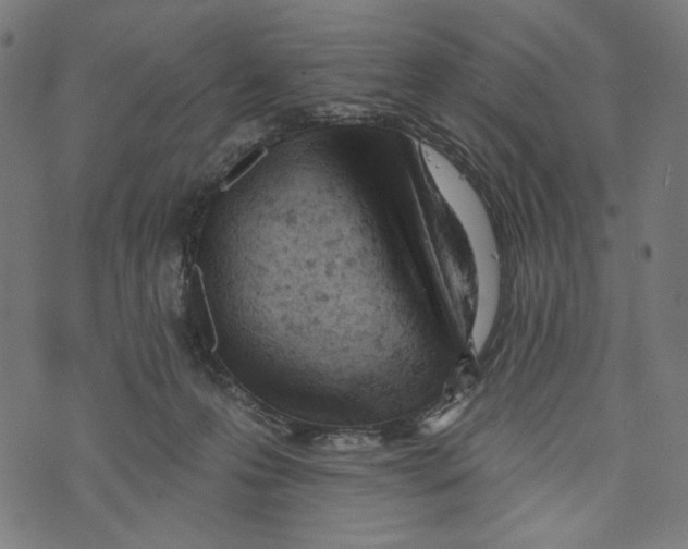 X0000073950223200609181409