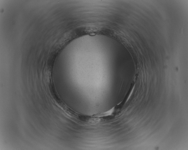 X0000073950227200609181409