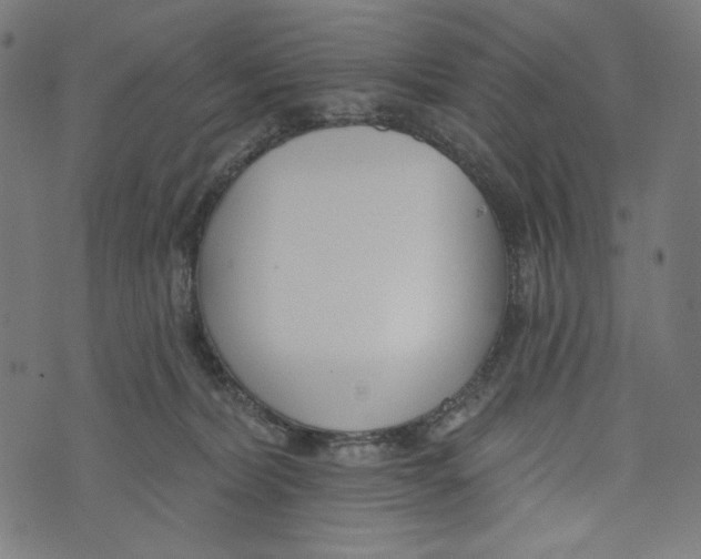 X0000073950228200609181409