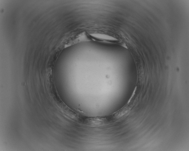 X0000073950229200609181409