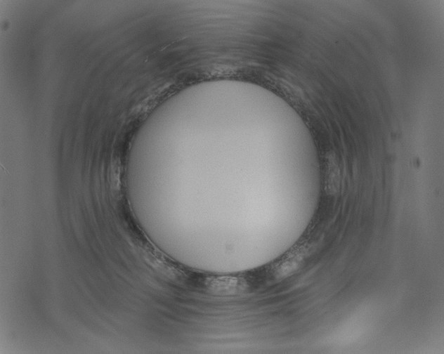 X0000073950230200609181409