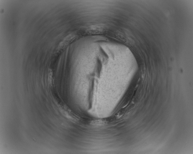 X0000073950231200609181409