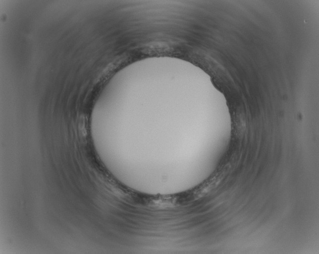 X0000073950232200609181409