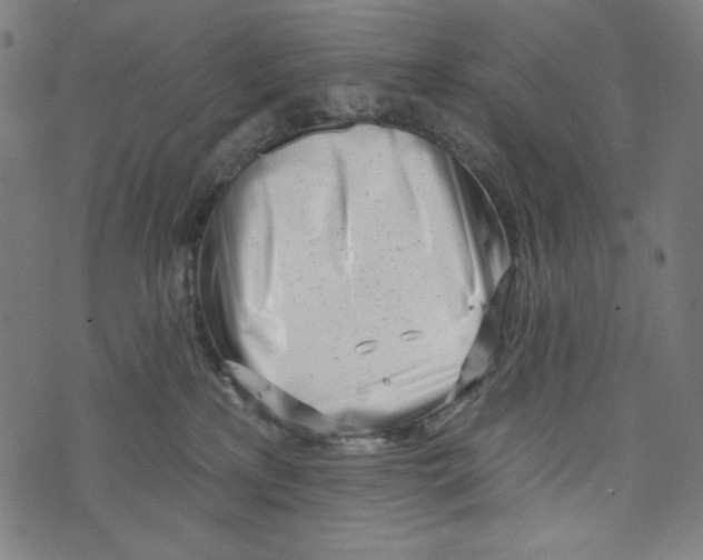 X0000073950233200609181409