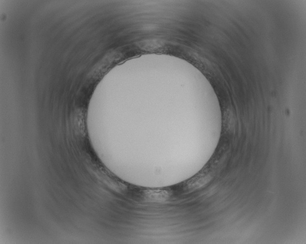 X0000073950234200609181409