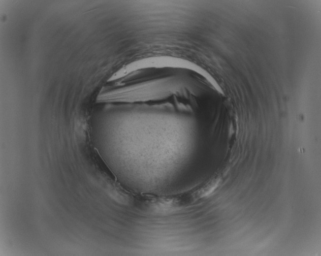 X0000073950235200609181409