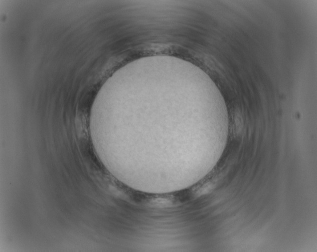 X0000073950236200609181409