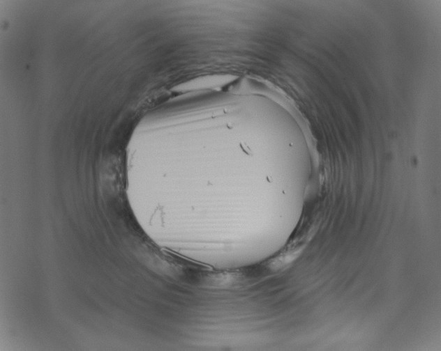 X0000073950237200609181409