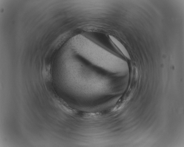 X0000073950239200609181409