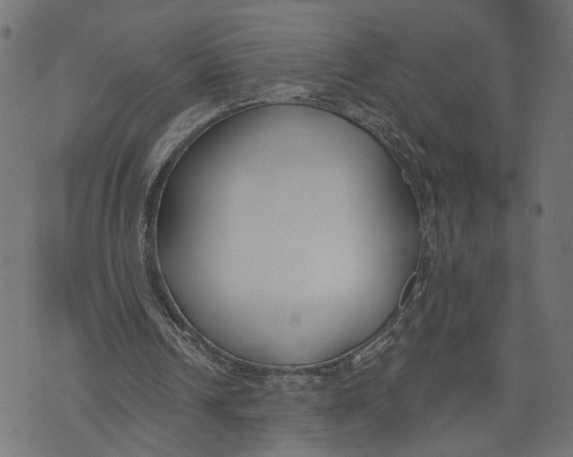 X0000073950242200609181408