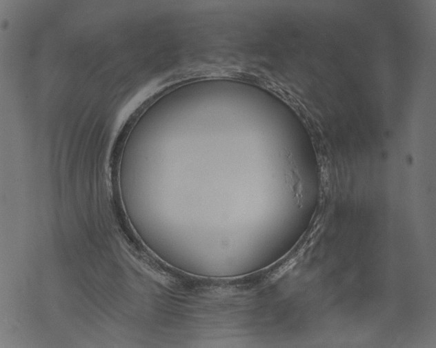 X0000073950246200609181408