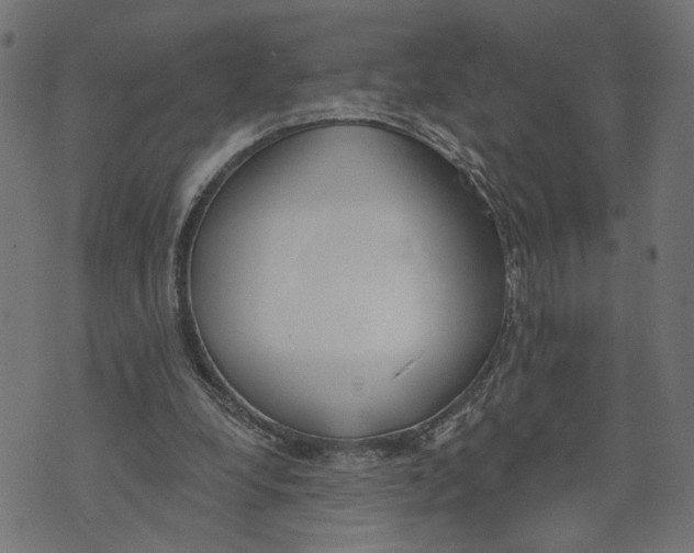 X0000073950248200609181408