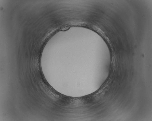 X0000073950249200609181408