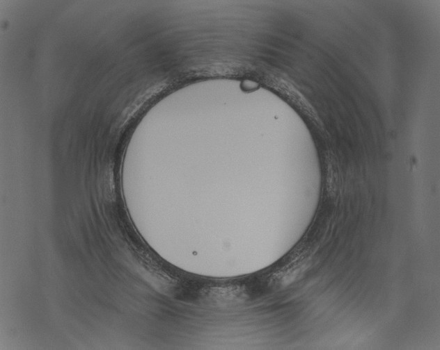 X0000073950251200609181408