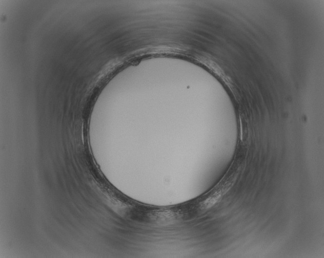 X0000073950253200609181408