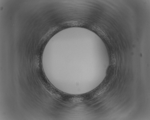 X0000073950255200609181408