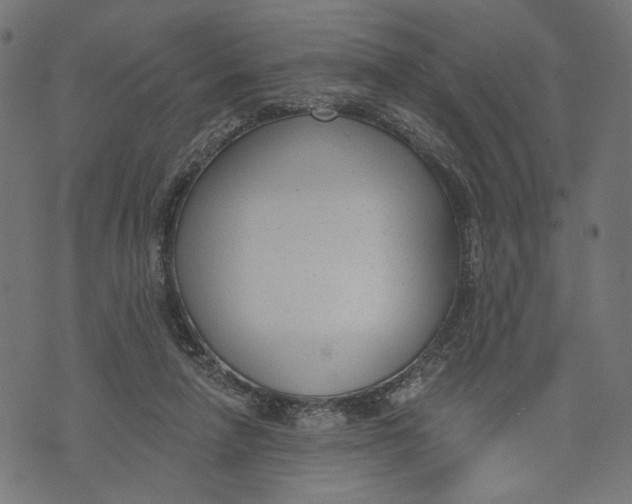 X0000073950258200609181408