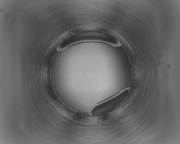 X0000073950260200609181408