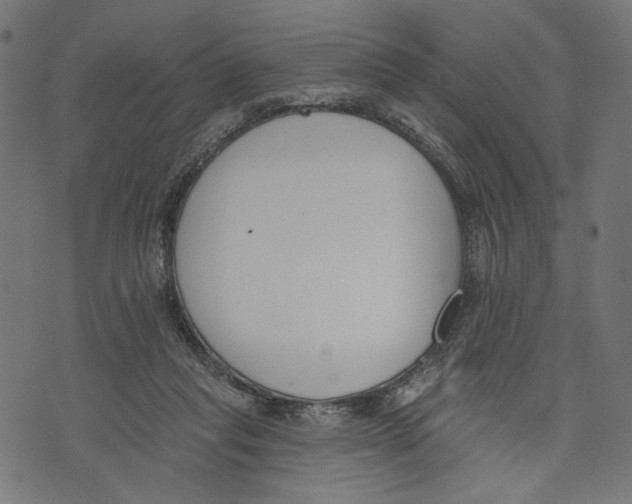 X0000073950261200609181408