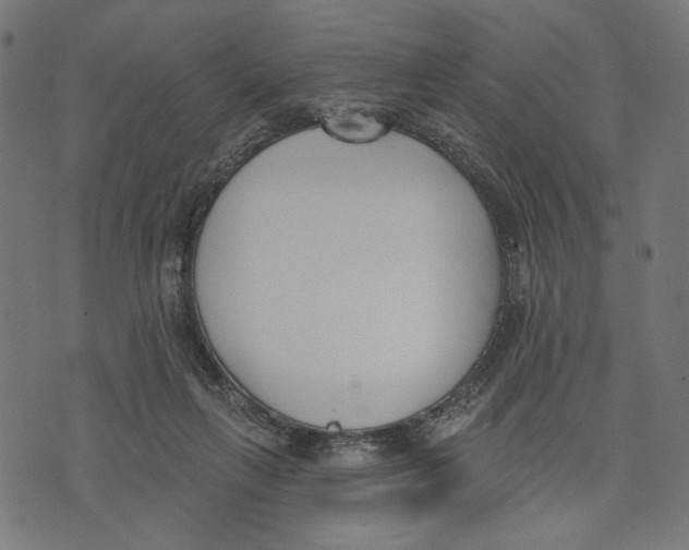 X0000073950263200609181408