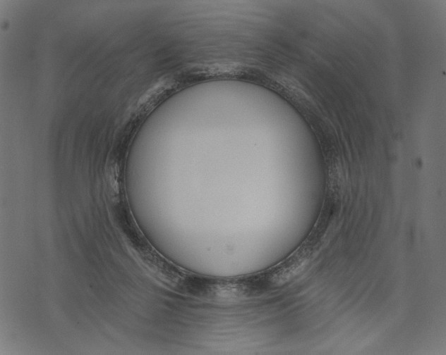 X0000073950264200609181408