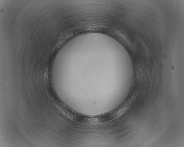 X0000073950265200609181408