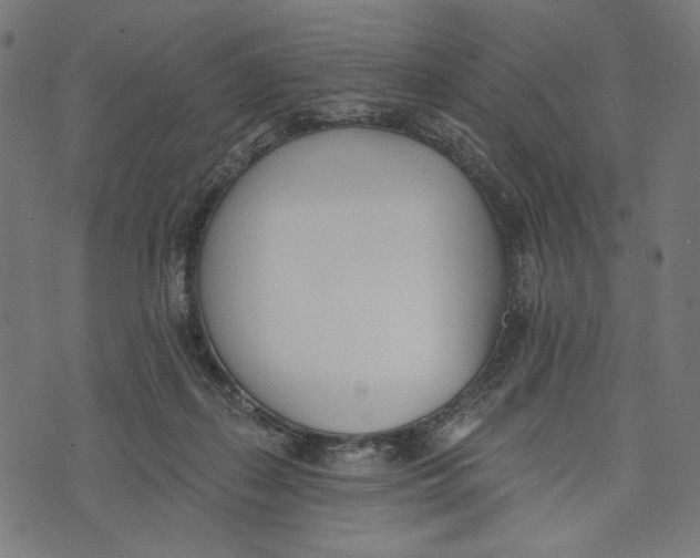 X0000073950267200609181408