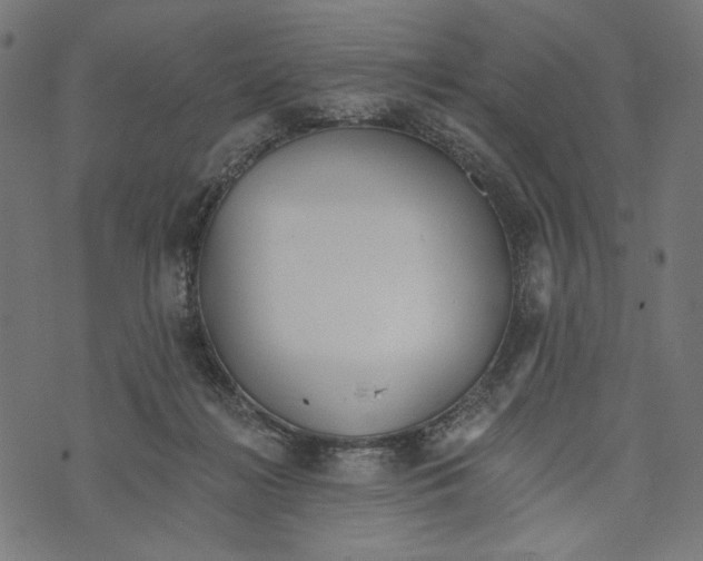 X0000073950268200609181408